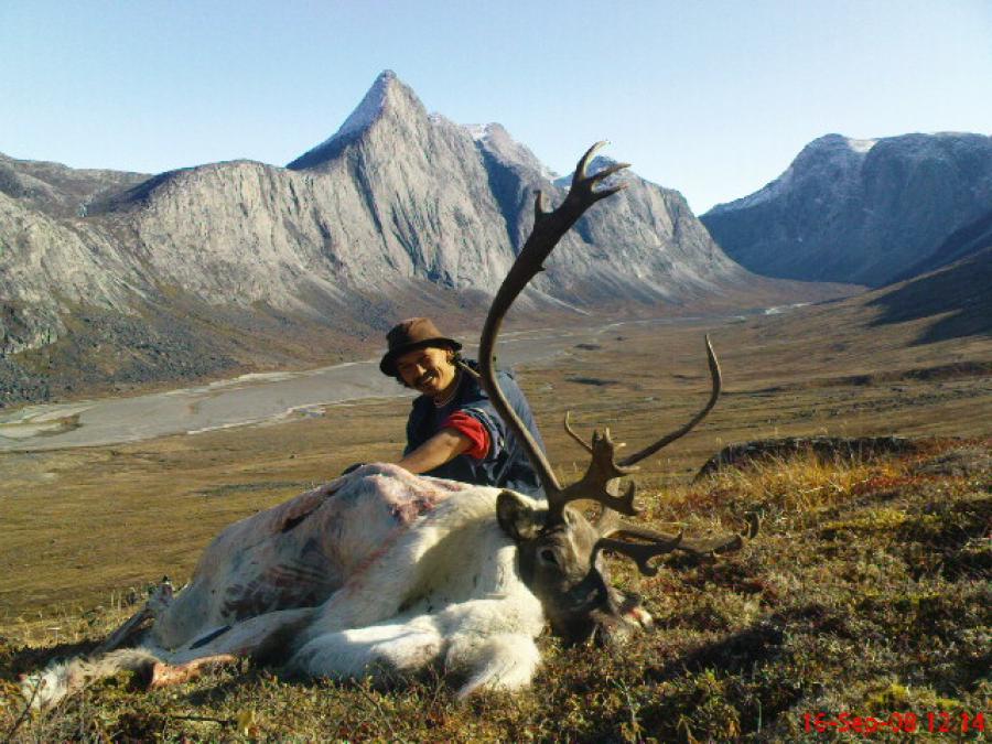 Rensdyrjæger, ved Qeqertarsuatsiaat 16. september 2008