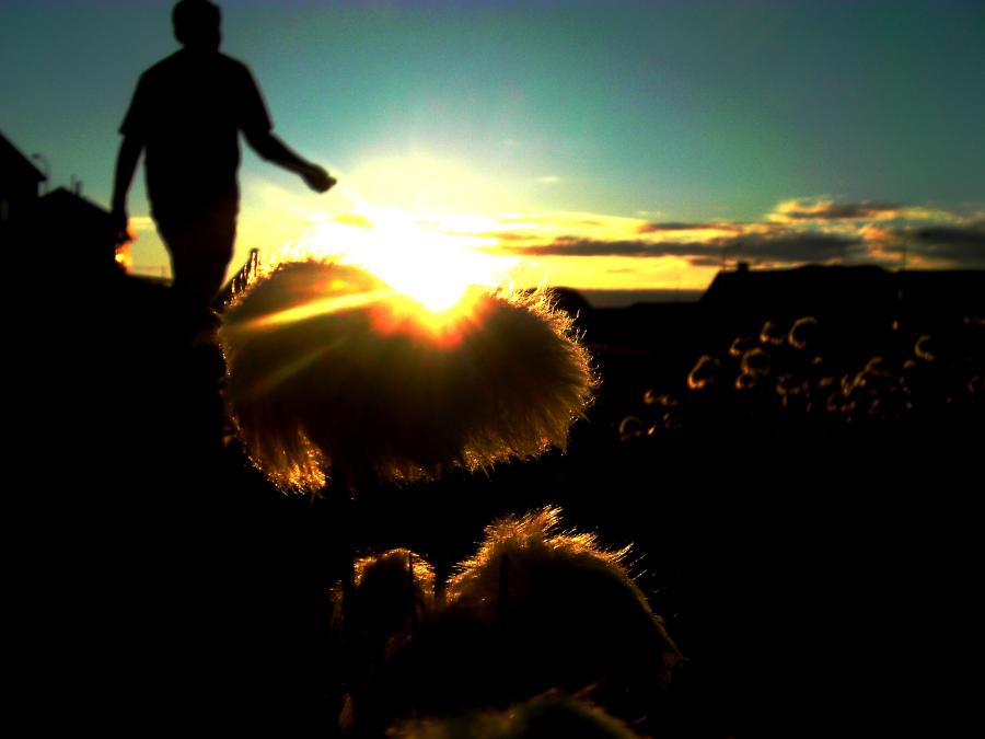 Solnedgang