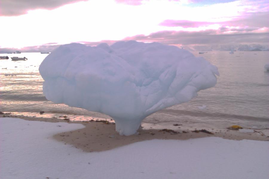 Det ligner et træ af is der vokser på stranden Qaanaaq, 18. september 2011