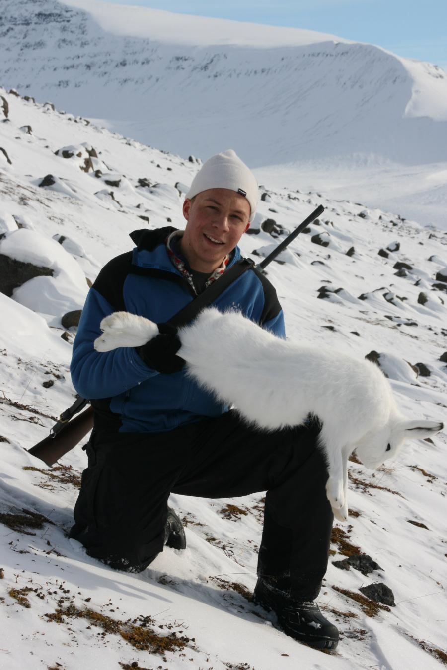 Snehare. Qeqertarsuaq, 12. april 2008
