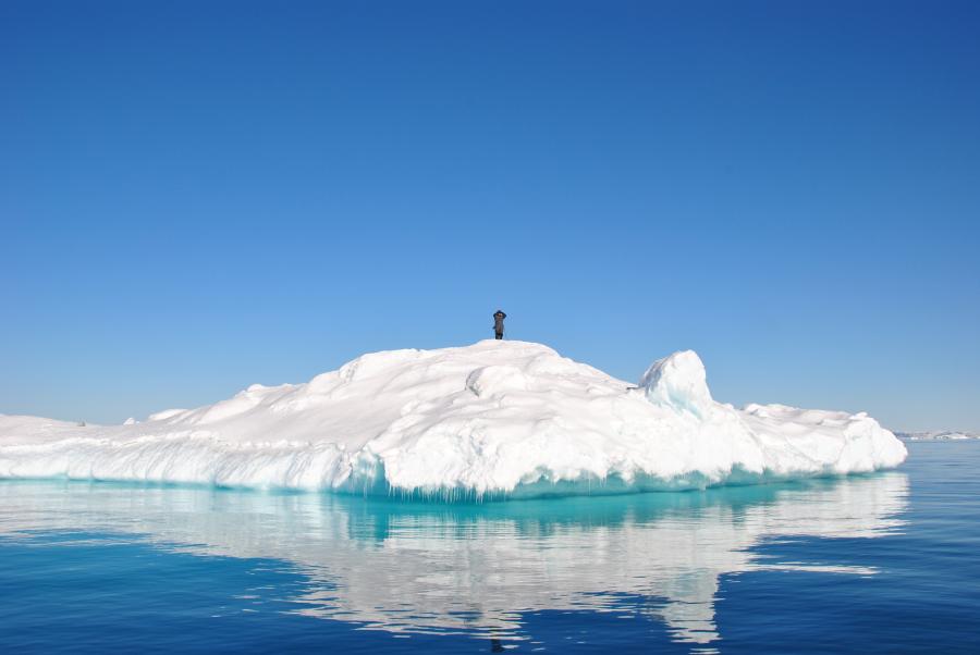 Sæljæger. Ved Ilulissat, 3. april 2010