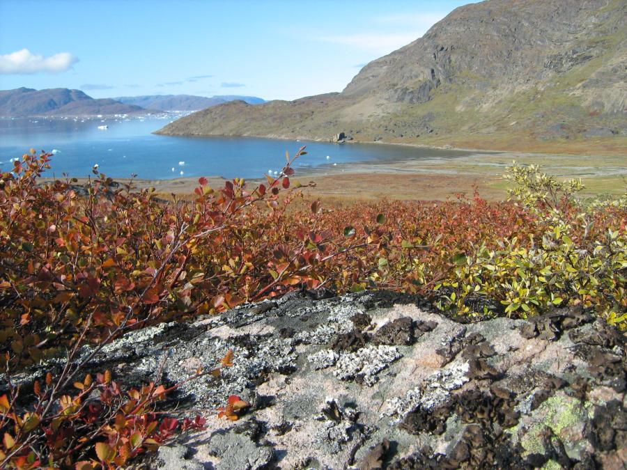 Begyndende efterår, september 2018
