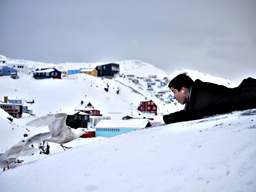 Naajamik qaninnguuisoq