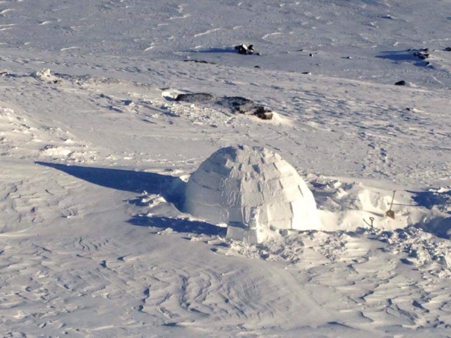 Igloo. Nuuk, februar 2019