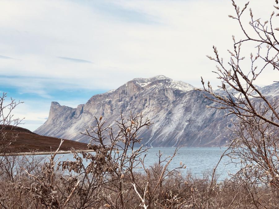 Udsigten fra Neriunaq