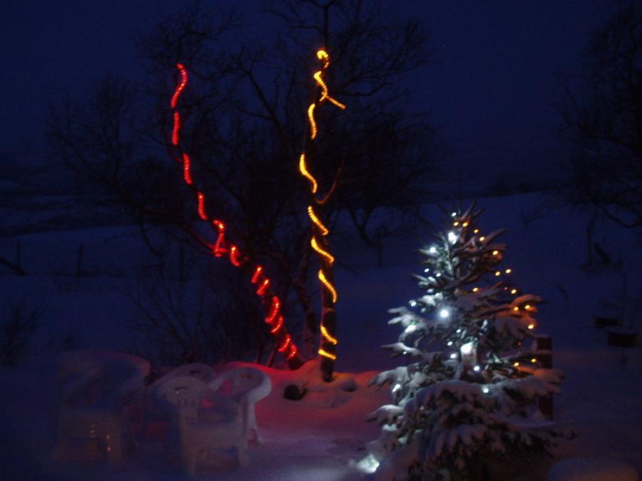 Juulli 2004