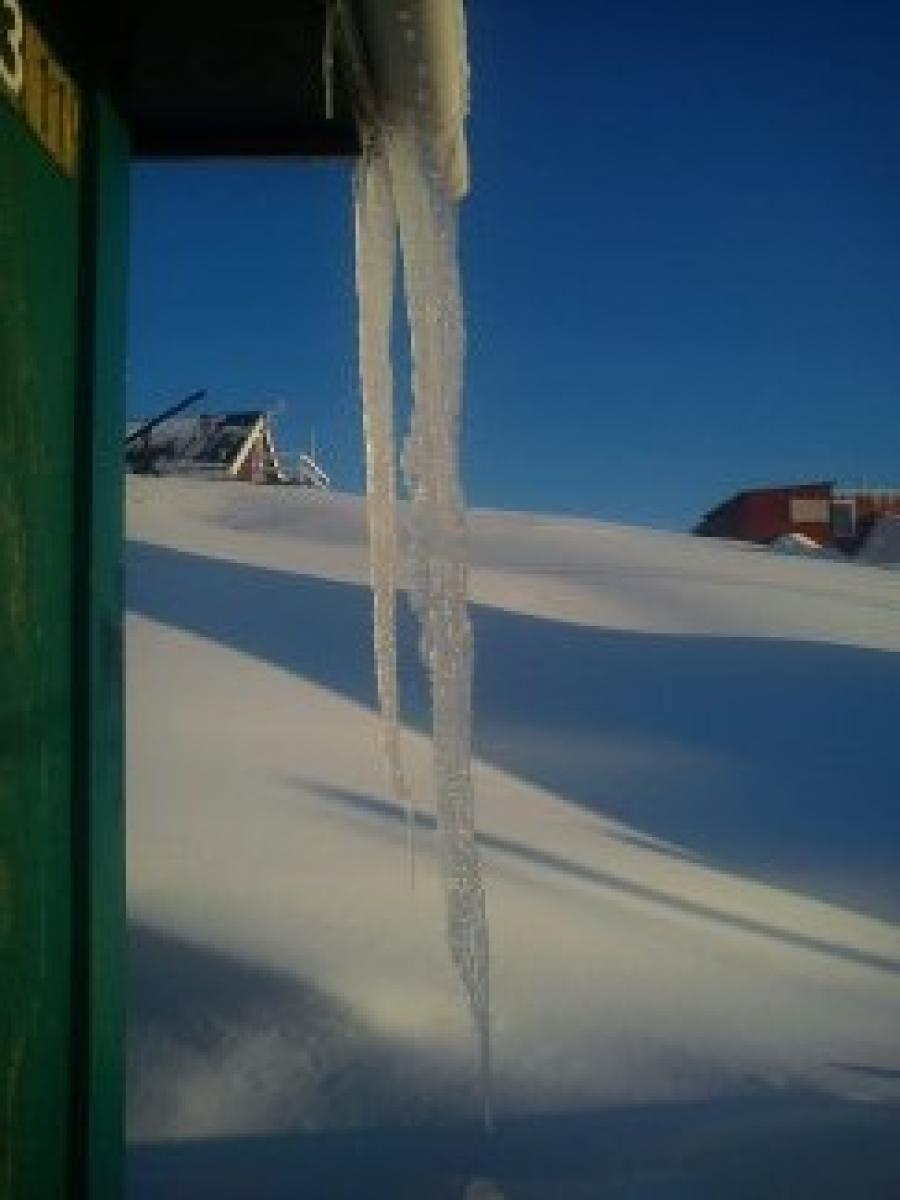 Alanngunnguit