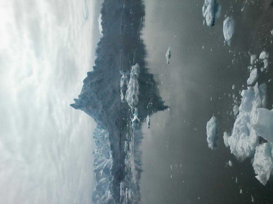Ilulissat maniitsuaqqat aniasut