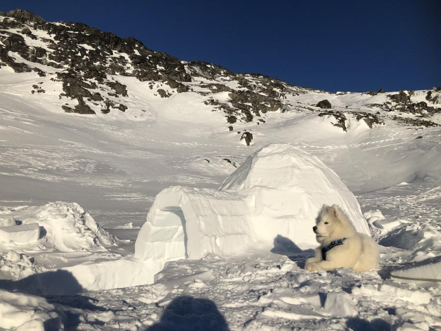 Valdemar bygger en iglo hvert år. Nuuk, 29. januar 2021