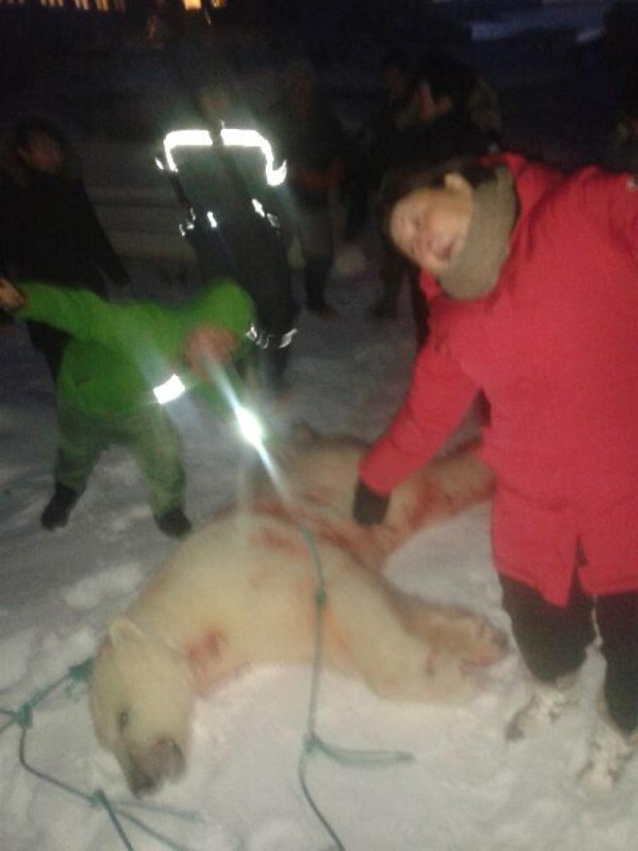 pernataq,2015