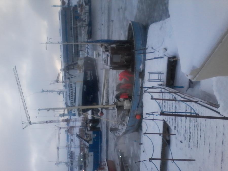 niuseqqammipput TO Haliput Greenland   TIA