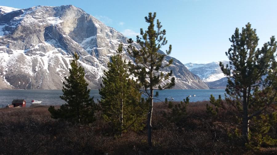 Qilaliarfimmi/Inatsisitaarfimmi Qooqqut pisuttuarfigalu nuannivippoq. Nuna alutornaq.
