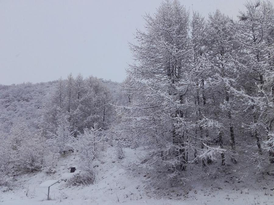 Narsarsuaq kiisami ukiorpalaalerpoq