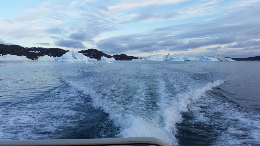 Qasigiannguanut tikilerluta iluliarasaartoq