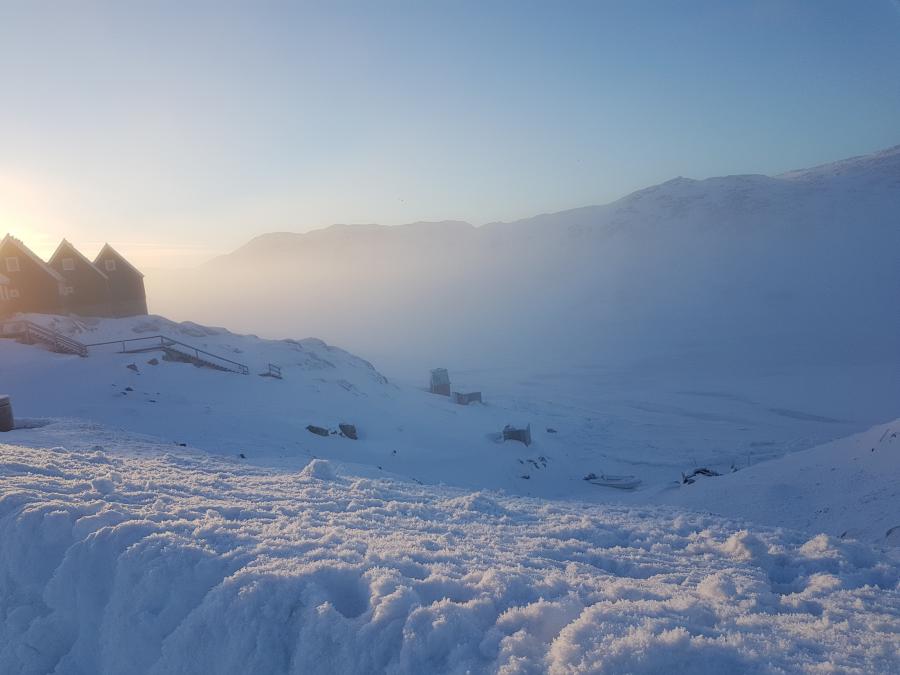 Tåge og rimfrost, Aasiaat 12. februar 2019