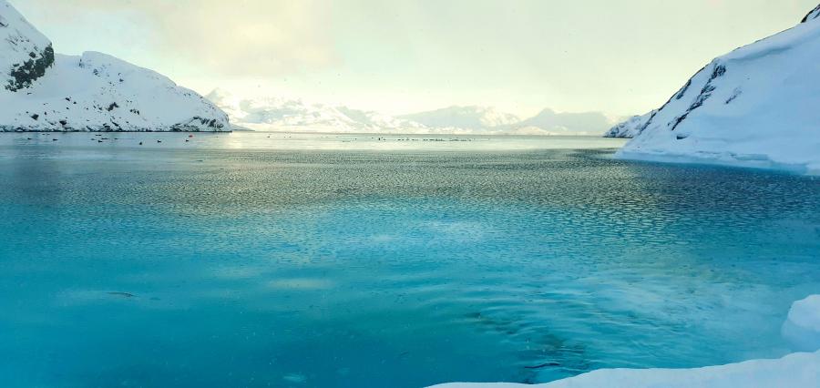 Maniitsoq 25/02-2020