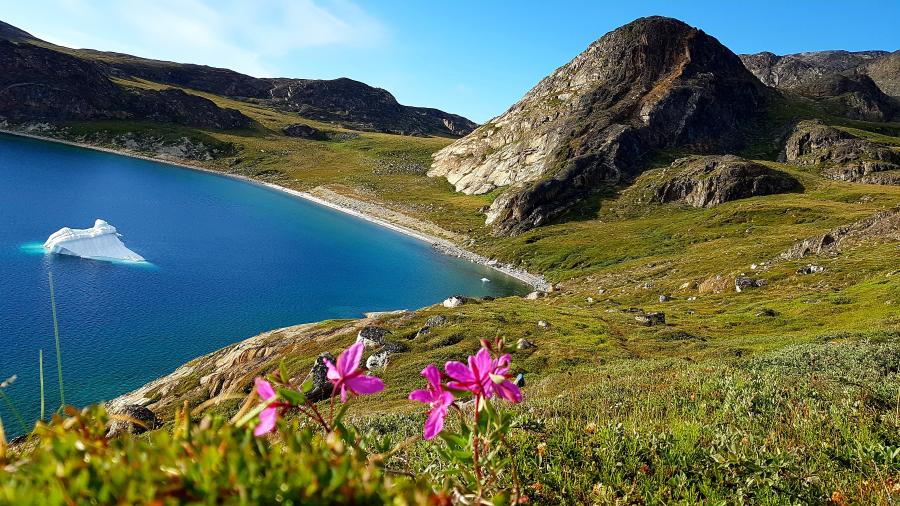 Flotte rene farver i Kangerluluk