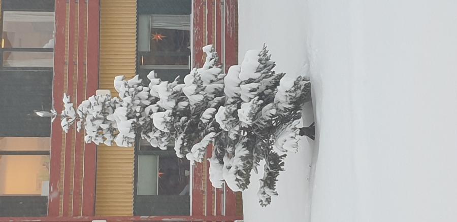 Saana-p orpia apusimasoq kusagilerlugu nassiukkiga. Tamassi juullumi pilluaritsi.