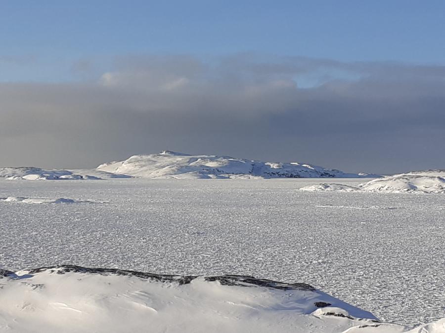Mittarfiup tungaaniik