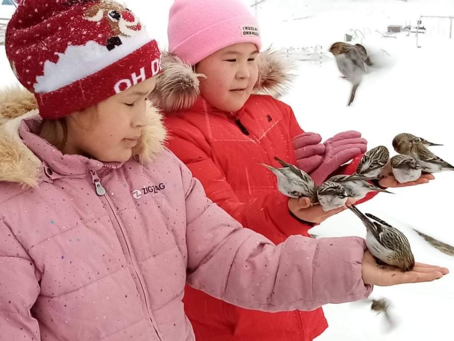 Børnene fodrer spurvene. Atammik, februar 2022