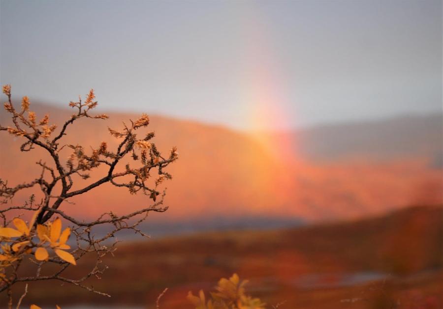 Arktisk pil og en regnbue i efterårsstemning. Billedet er fra Kangerlussuaq, en aften hvor vi kørte rundt i bil, 7. september 2021
