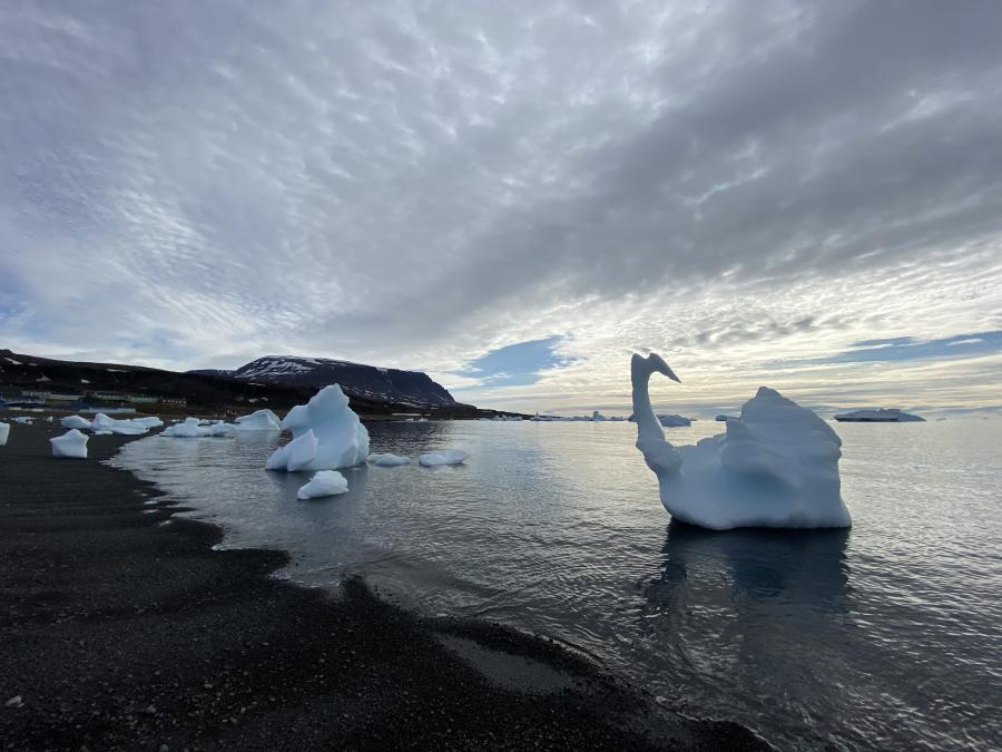 Stranden i Qeqertarsuaq. 10. juni 2020