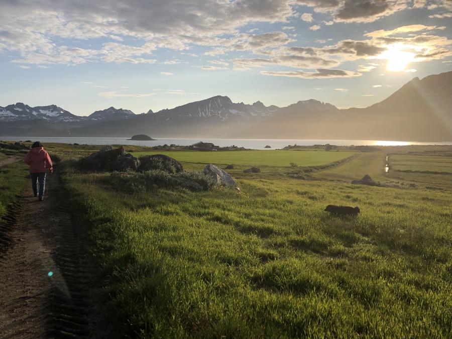Fåreholderstedet Tasermiut Nuugaarsuk, sommeren 2019