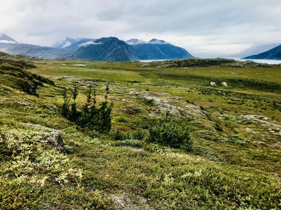 Smukke farver. Ameralla, i nærheden af Nuuk, 28. august 2021