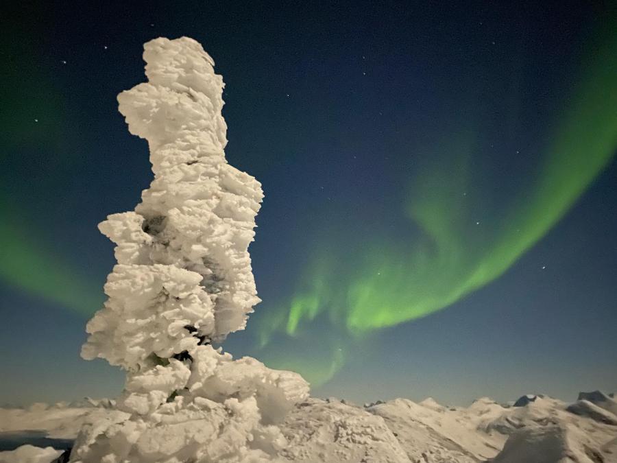 Gåtur til Ukkusissaq / Store Malene. Nuuk, 17. december 2021
