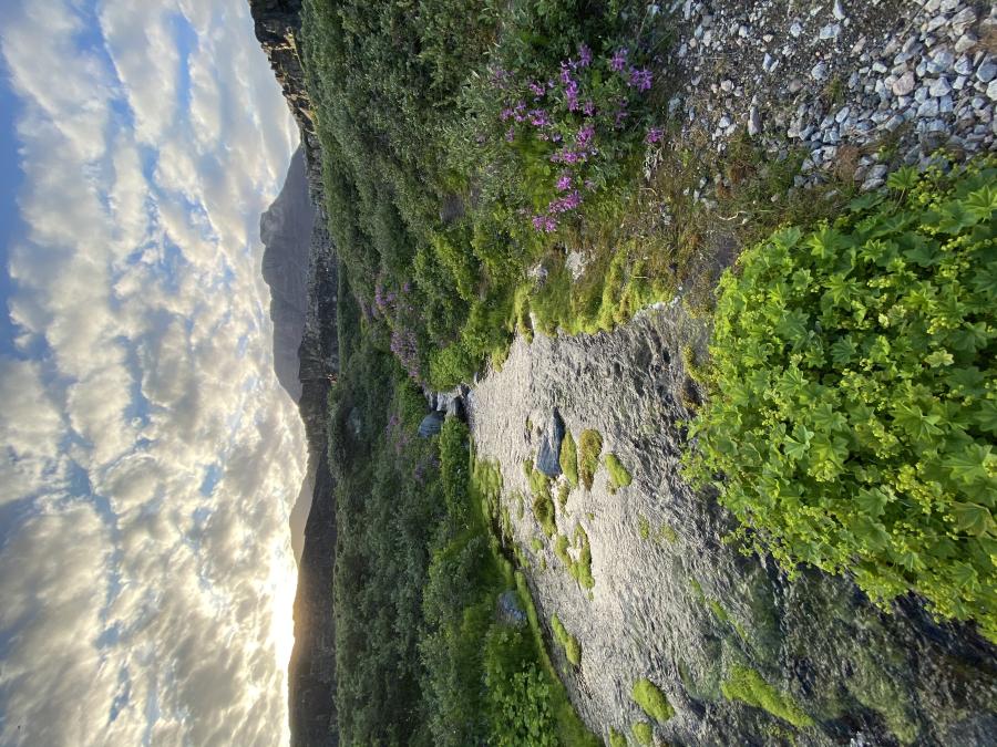 Qeqertarsuarmi imertartarfik Angakkussarfik