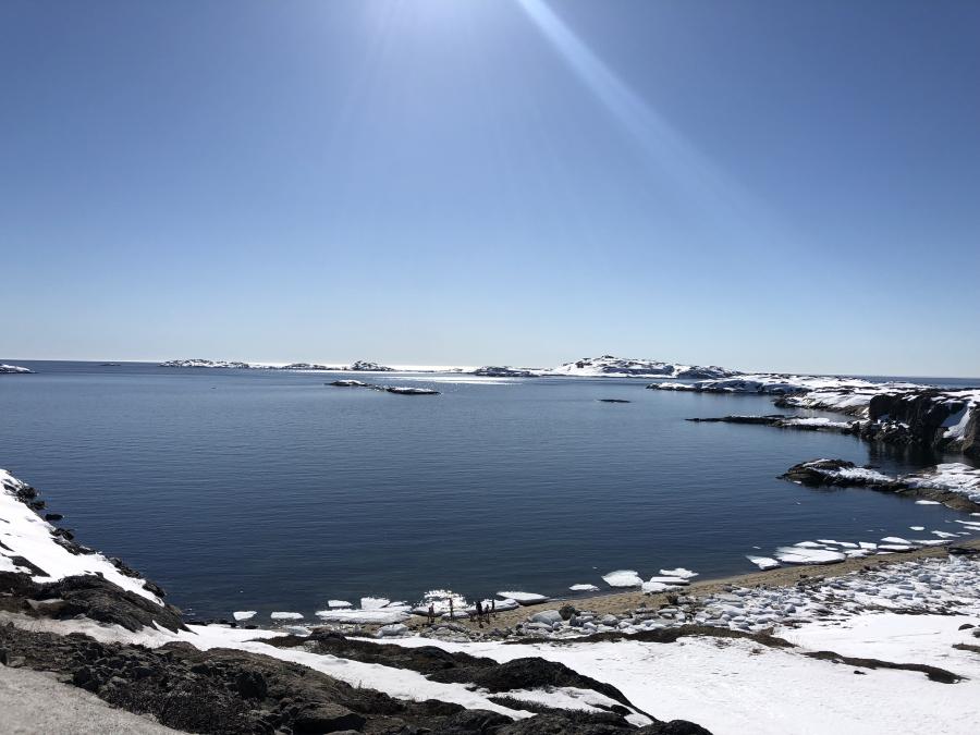 Sisimiuni meeqqat upernaarsiorput.