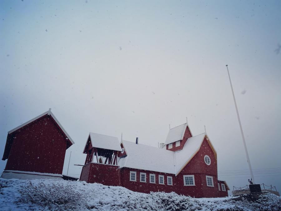 Nysne den elvte juni på Herrens Blækhus. Qeqertarsuaq, 11. juni 2020