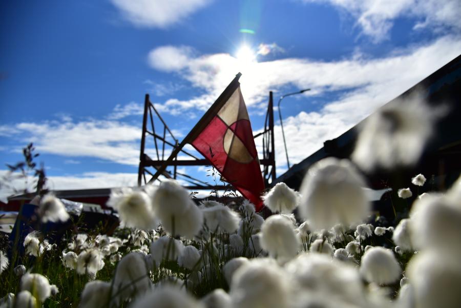 Sommeren i vores land