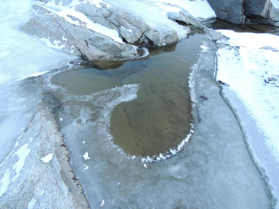 Uumataasaq