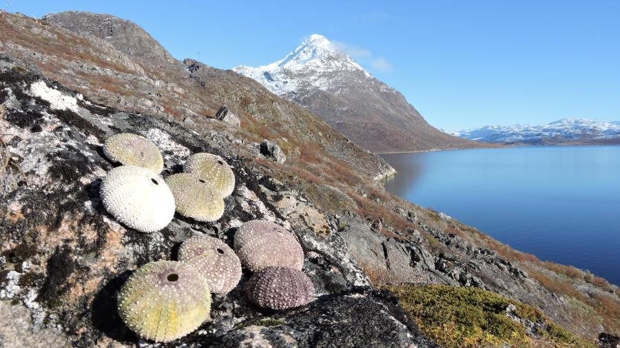 Fjeldet ved Qaqortukulooq, 14. oktober 2018