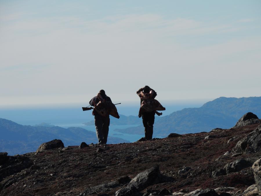 Rensdyrjagt Sisimiut
