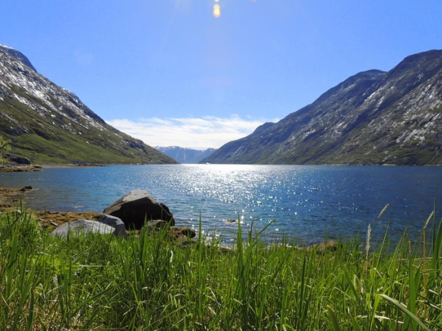 Højsommer i Amitsuarsuk, 9. august 2018