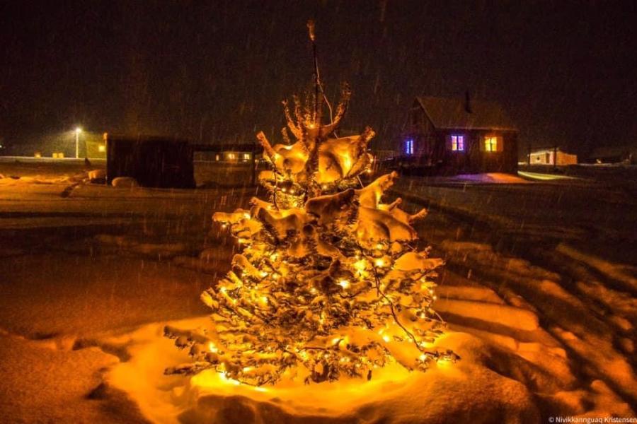 Juletræet i Upernavik Kujalleq. December 2020