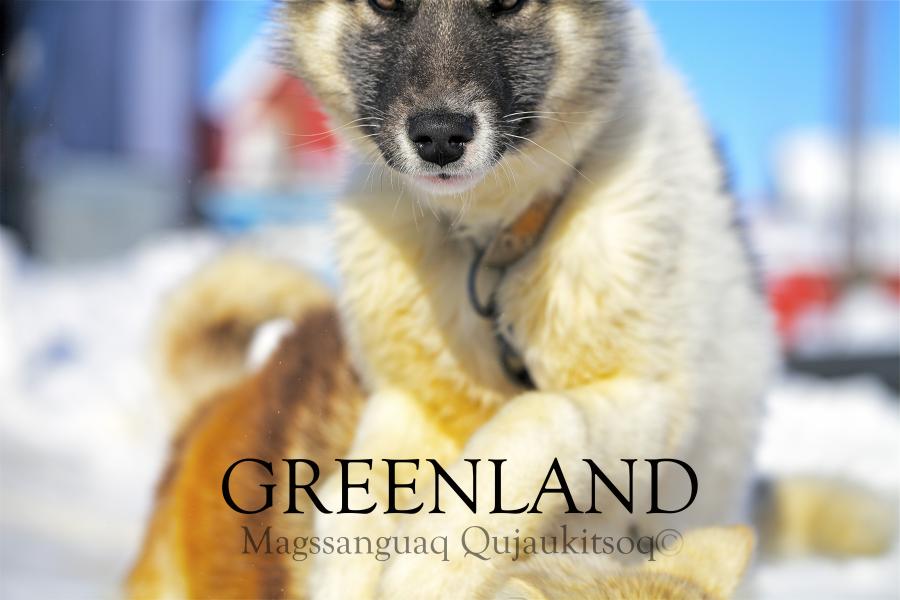 Kalaallit Nunaat