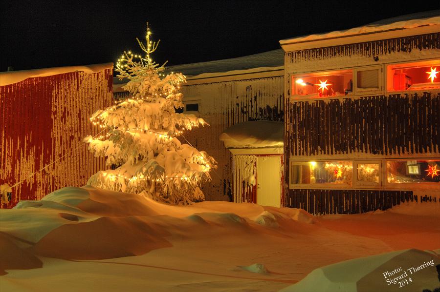 Juulli 2014 Ilulissat
