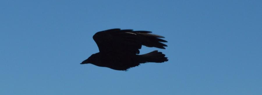 Nuuk