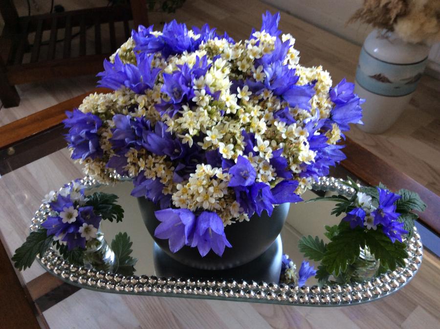Blomster fra Qasigiannguit juli 2016
