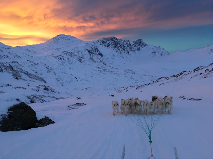 Sisimiut Qimusseq