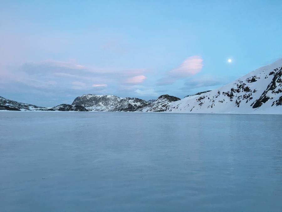 tasersuarmi.