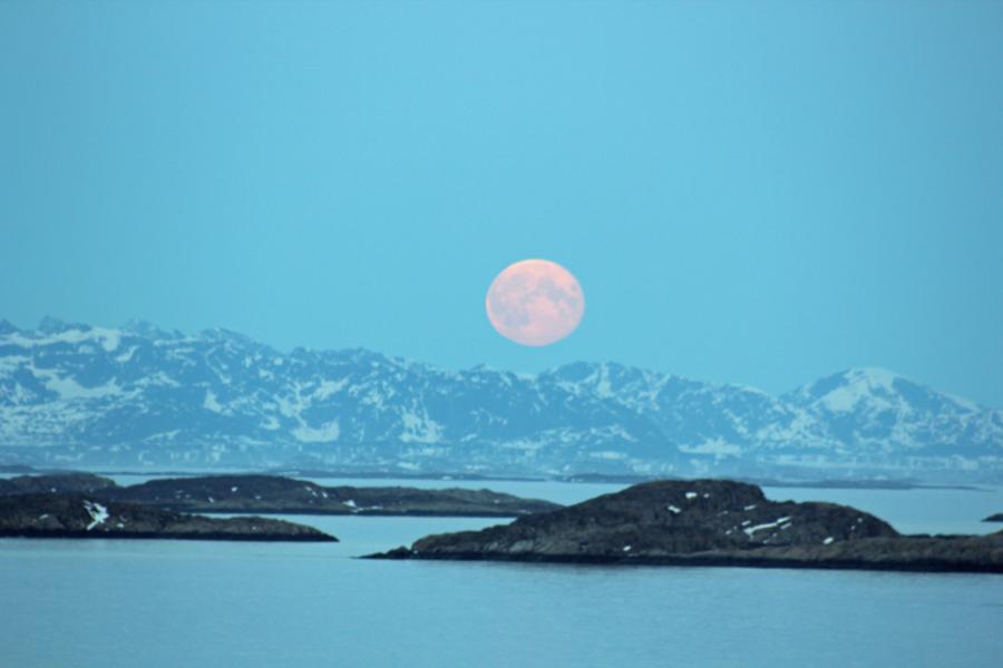 Fuldmåne. 5. juni 2012