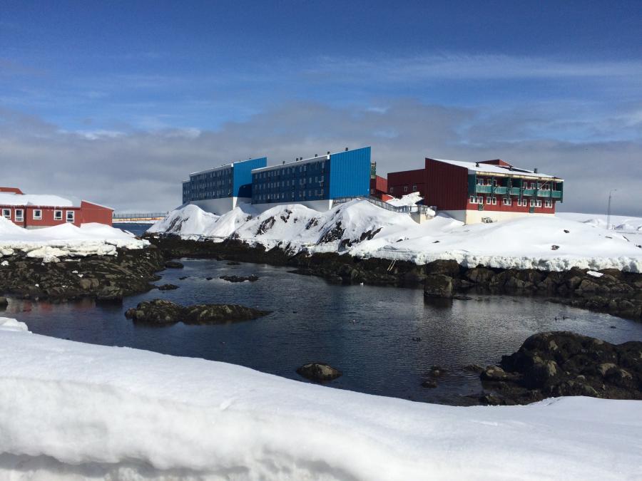 Tunoqqusaaq ualikkut tininngasoq