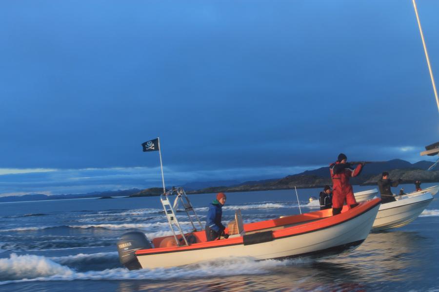 Attu, Jagt 2