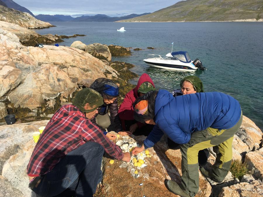 Traditionel kogt torsk serveret på klippen. Sydgrønland, 8. juli 2020