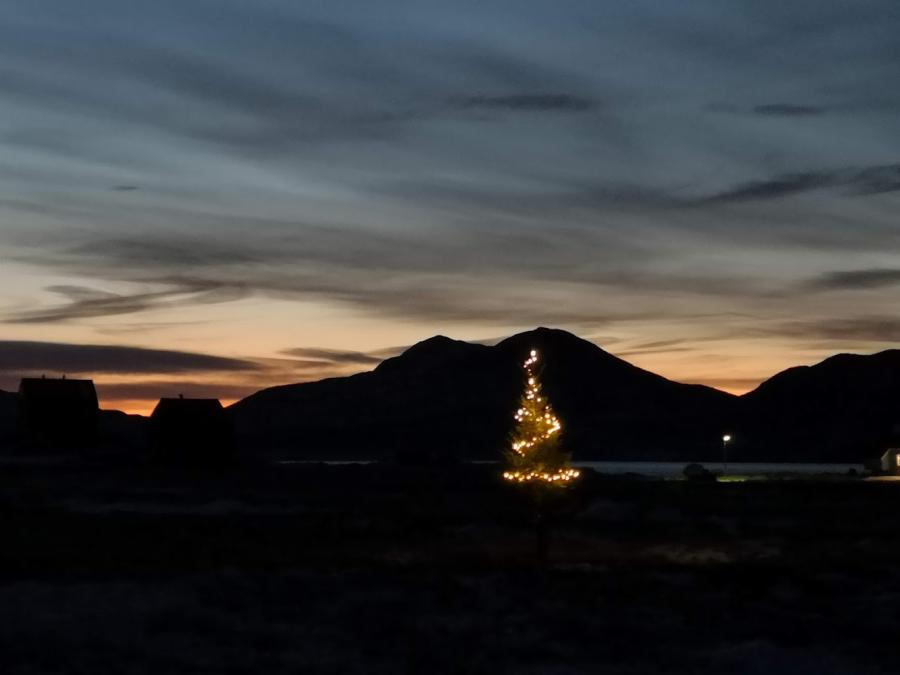 Juletræet i Ammassivik