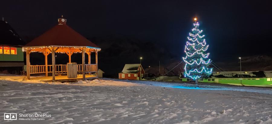 Byens juletræ. Qasigiannguit, 30. november 2020